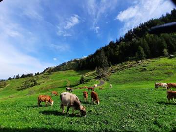 Ferienwohnung für 6 Personen in Marbach, Westalpen, Bild 3