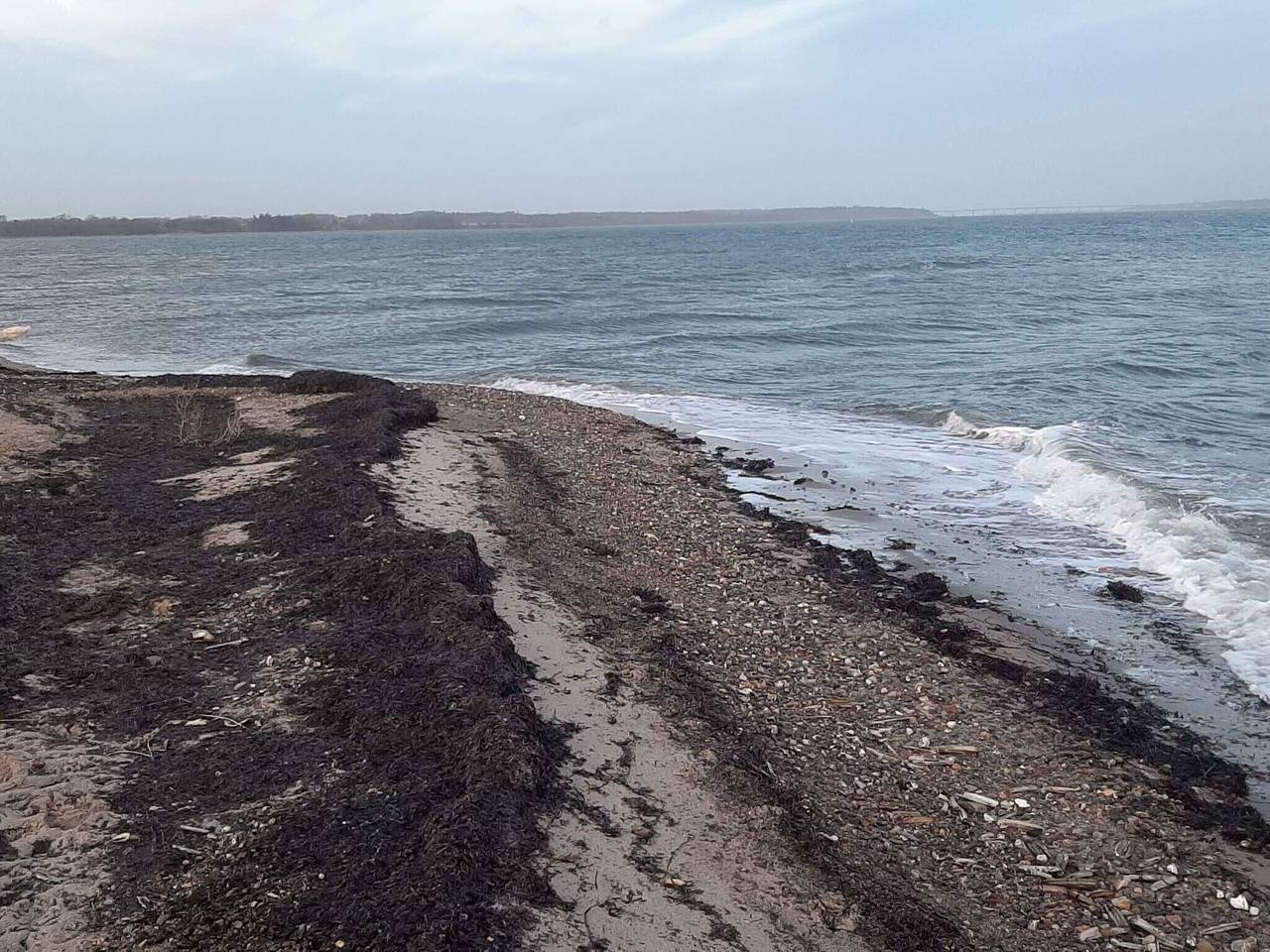 24 Personen Ferienhaus in Øster Assels in Morsø, Limfjord in Nordjütland