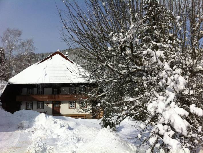 Ferienwohnung mit 1 Schlafzimmer in Neuenweg, Kleines Wiesental