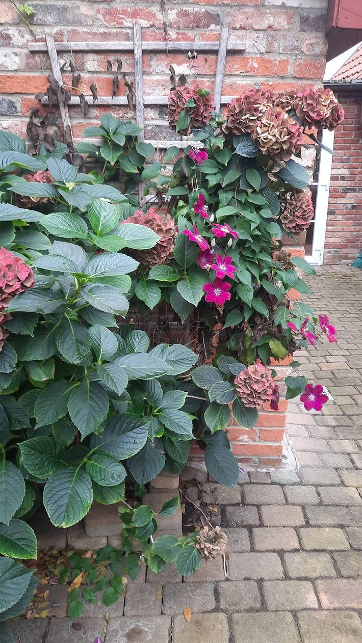 Casa de vacaciones para 8 personas con terraza in Luneburgo, Nordheide