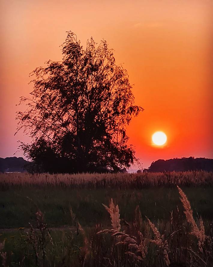 Ferienwohnung für 6 Personen, mit Terrasse und Garten sowie Sauna, mit Haustier in Dreschvitz - 2