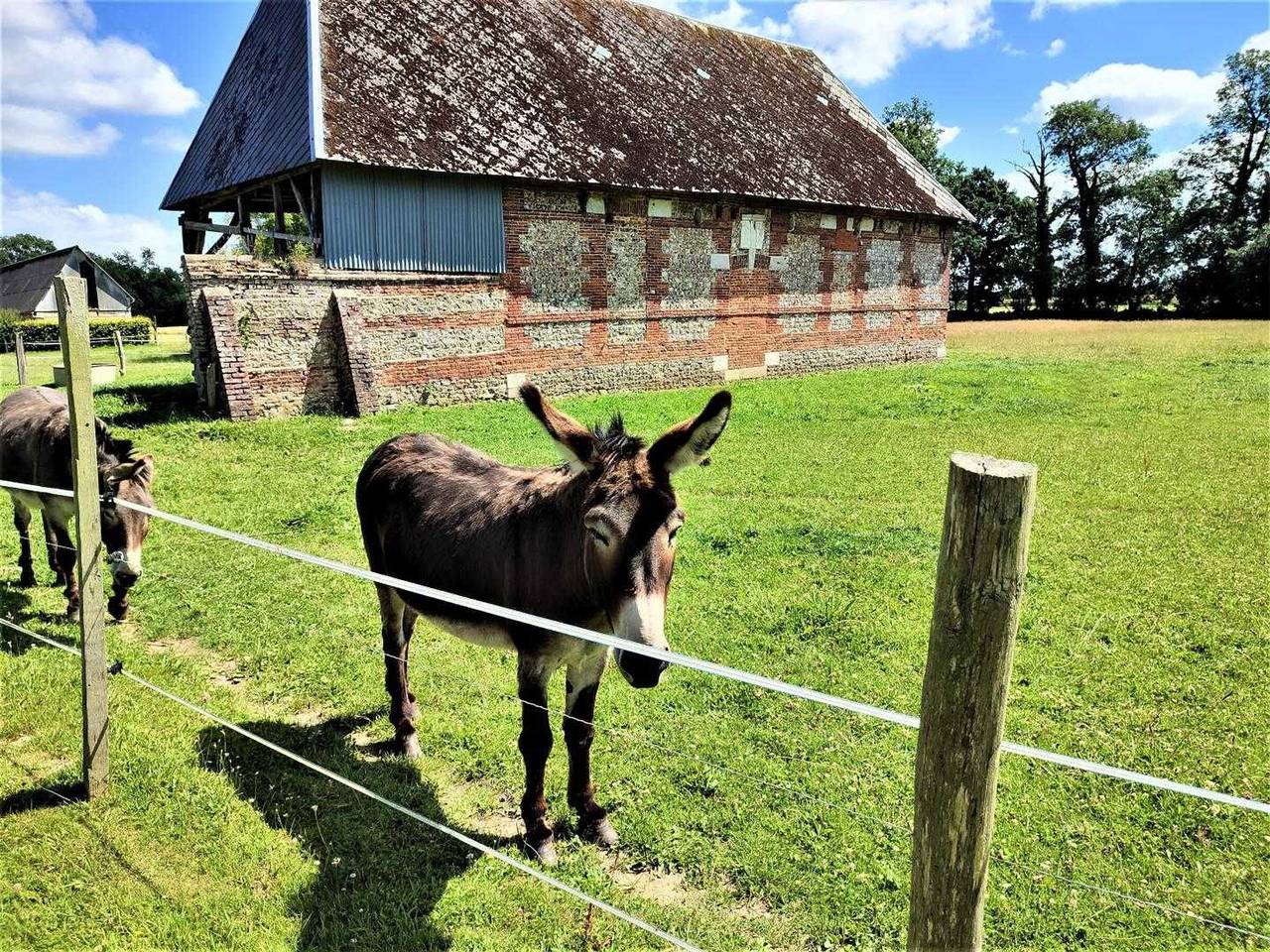 Autour du Puits in Valliquerville, Rouen region