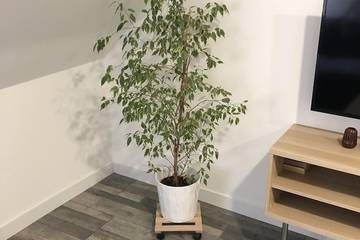 Gîte pour 4 personnes à Mennecy