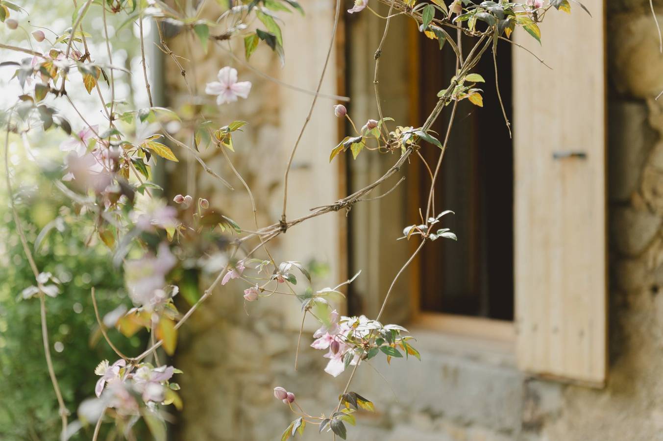 La Ferme de Blanc - Chambre Le châtaignier in Saint-Sylvestre (Rhône-Alps), Région de Tournon-sur-Rhône