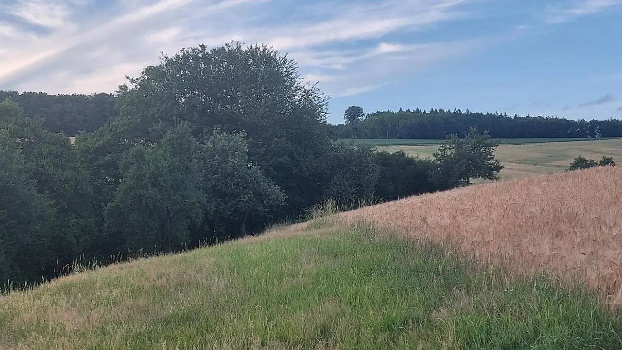Ganze Ferienwohnung, Ferienwohnung für 3 Personen (71 m²) in Berg in Lahn-Taunus