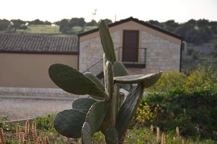 Camping für 4 Personen, mit Ausblick und Garten auf Sizilien - 2