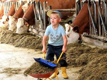 Bauernhof für 4 Personen in Schöllnach, Ostbayern, Bild 1