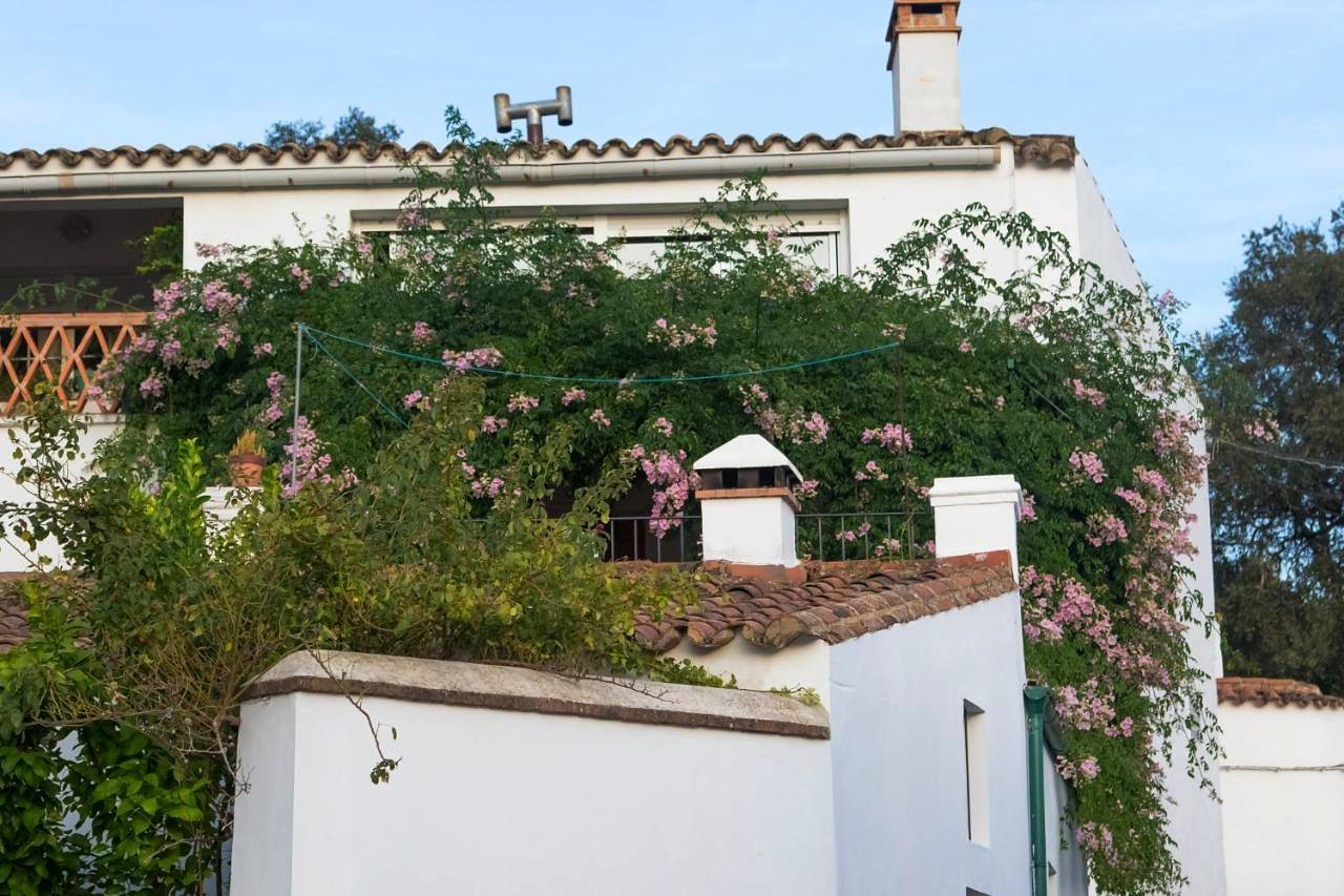Three-Bedroom House in Los Romeros, Jabugo