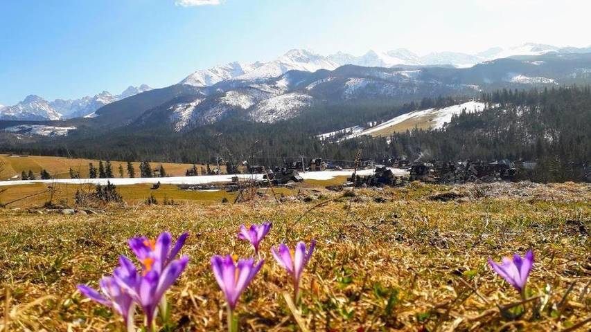 Domek letniskowy dla 6 osób, z ogród i sauna oraz widok - 1