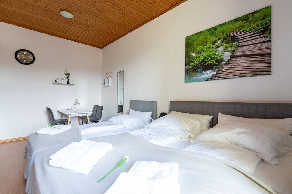 Ganze Wohnung, Perfekte Lage | 3 Gäste | 10 Min zur Uni | Wlan | Waschmaschine | Komfort in Leoben, Östliche Obersteiermark