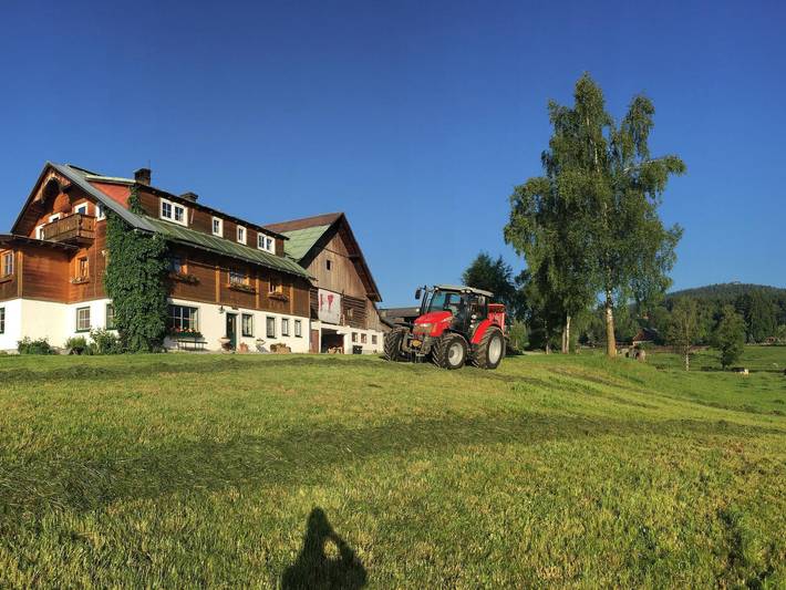 Ferienwohnung für 4 Personen, mit Garten, kinderfreundlich in Ramsau am Dachstein - 4