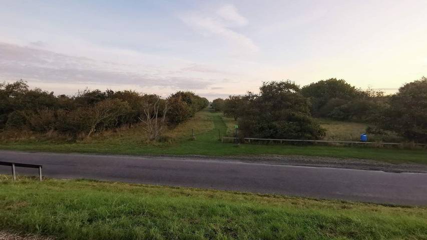 Ferienhaus für 9 Personen, mit Terrasse in Dannemare - 3