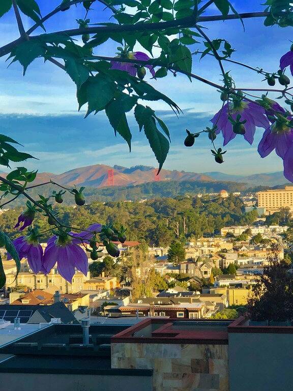Appartement De Vacances pour 2 Personnes dans San Francisco, Region de la baie de San Francisco