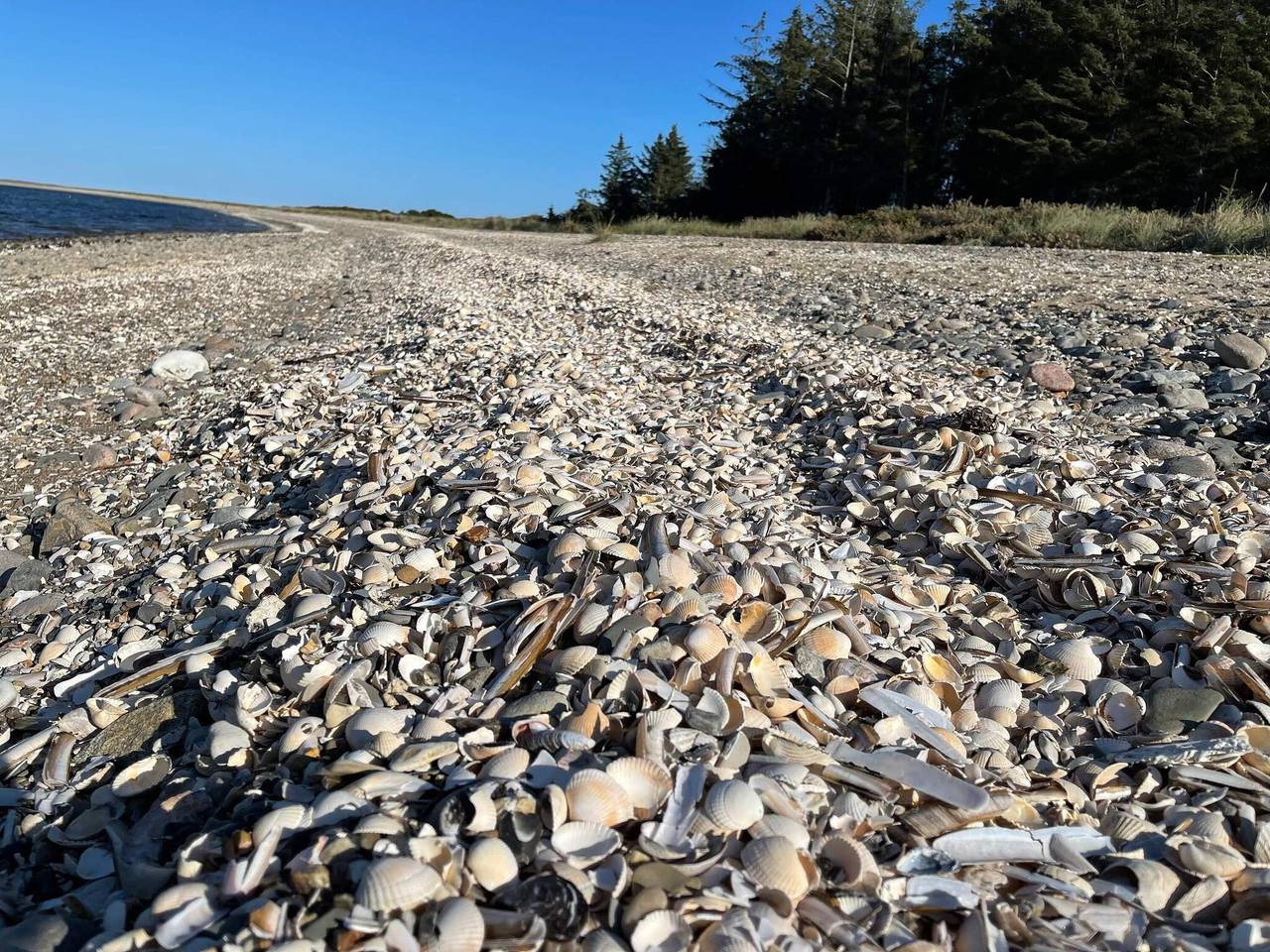 Abgeschiedenes Paradies auf Fur in Fur, Limfjord in Westjütland