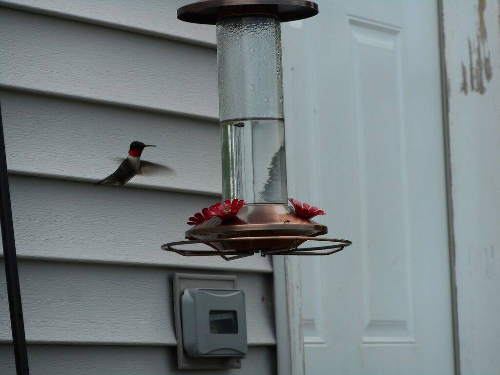 Post and beam cabin with king and bunk in Piscataquis County