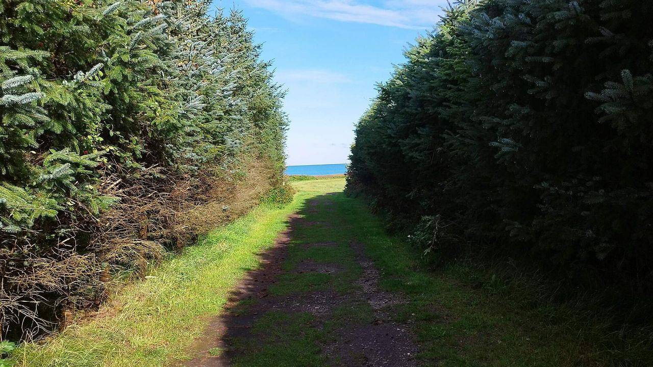 Ferienhaus für 10 Personen (135 m²) in Ålbæk in Skiveren, Tannisbucht