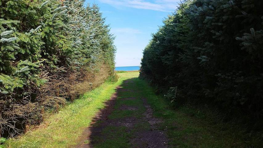 Ferienhaus für 11 Personen, mit Pool und Whirlpool sowie Sauna und Terrasse, mit Haustier in Aalbæk - 4