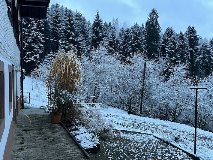 Chalet Halleckle in Oppenau, Renchtal