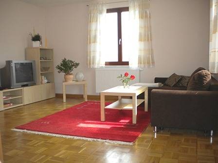 Ganze Ferienwohnung, Ferienhaus Bergwiese - Ferienhaus mit 75qm/ 2xschlafraum/ 2xwohnraum in Rotterode, Rennsteig