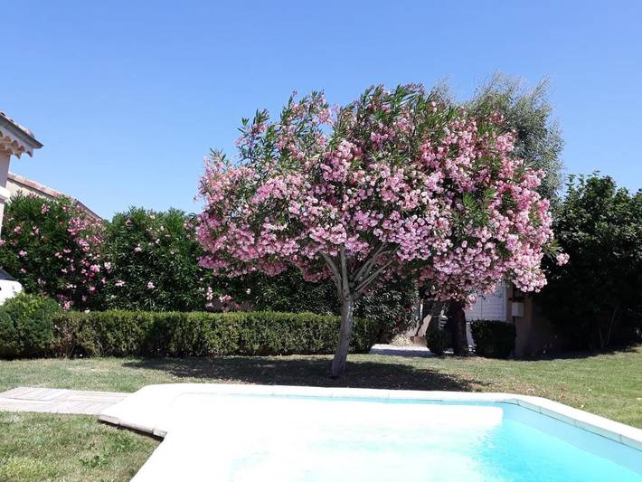 Chambre d’hôte pour 2 personnes, avec vue et jardin à Montélimar - 4