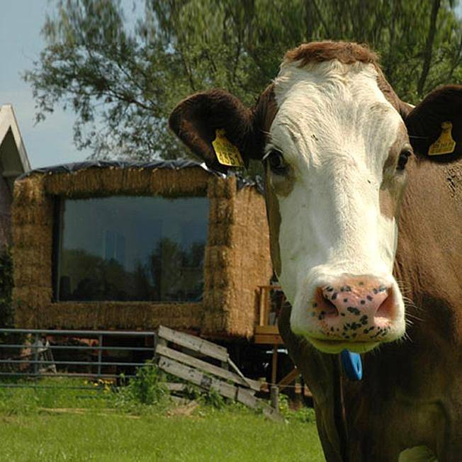 BnB für 2 Personen, mit Ausblick und Seeblick sowie Garten, kinderfreundlich in den Niederlande