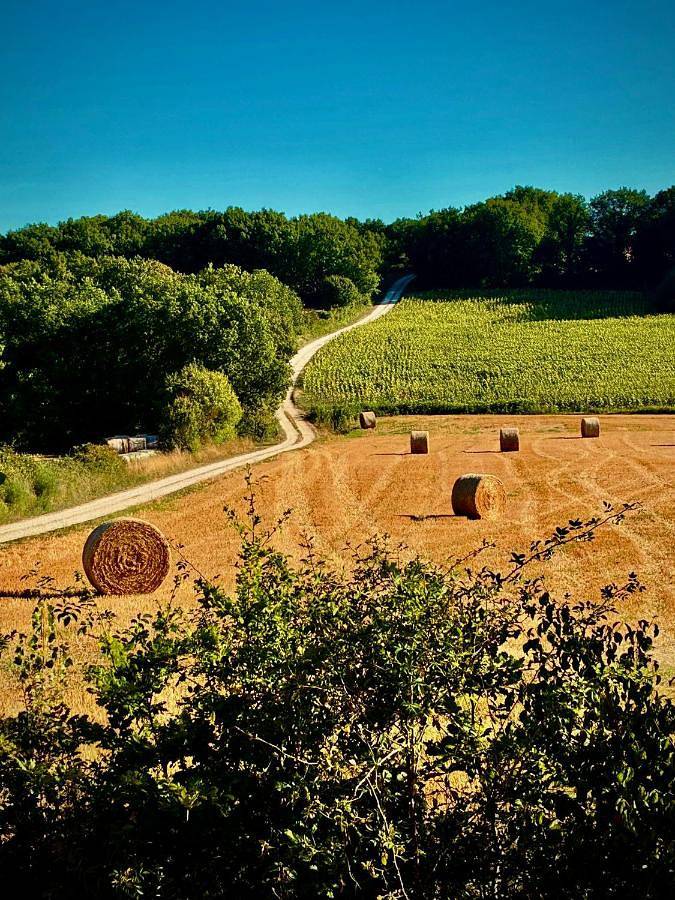 Location de vacances pour 15 personnes, avec jardin ainsi que vue et piscine à Belvèze