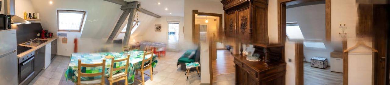 Ganze Wohnung, Appartement charmant à Lohr + 60 m² + terrasse et jardin in Lohr, Region Saverne