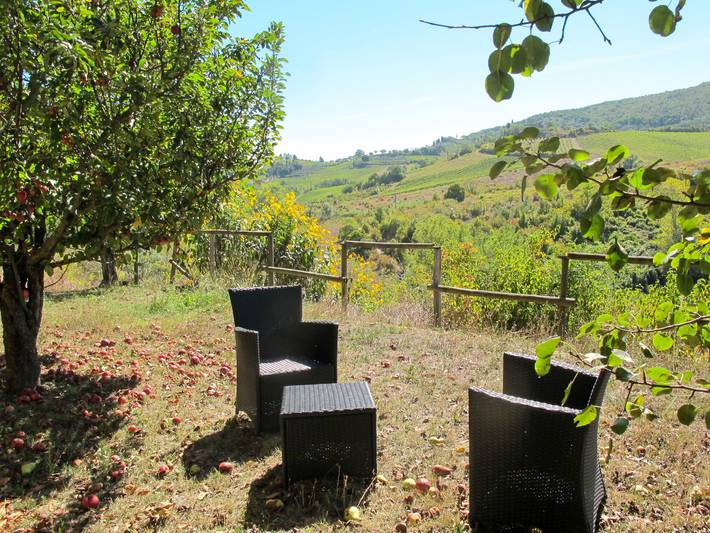 Gîte pour 4 personnes, avec Terrasse ainsi que Jardin et Vue à San Gimignano - 4