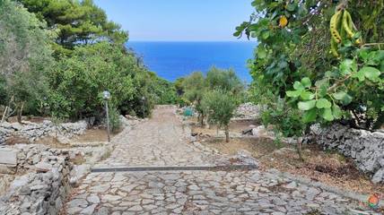 Villa per 6 Persone in Corsano, Salento, Foto 4