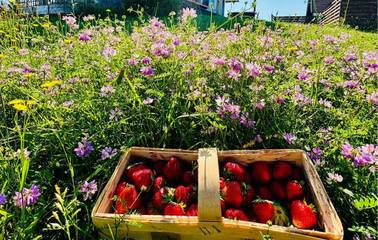 Dom dla 8 osoby w Stężyca, Powiat kartuski, Zdjęcie 2