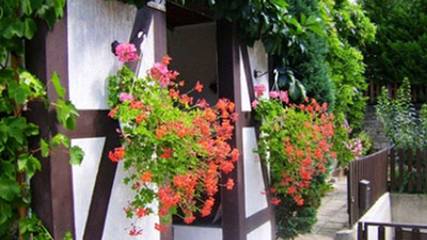 Ferienwohnung für 3 Personen, mit Terrasse und Garten in Loschwitz