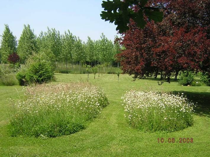 Gîte pour 4 personnes, avec jardin dans la Sarthe - 3