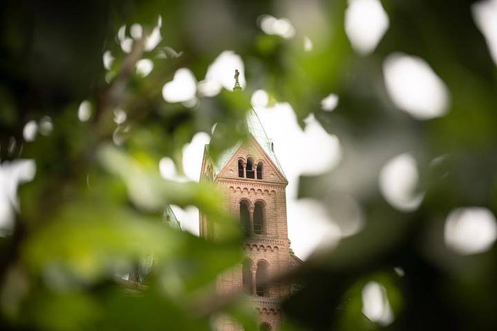 Ferienhaus für 6 Personen, mit Terrasse und Garten in Speyerer Dom