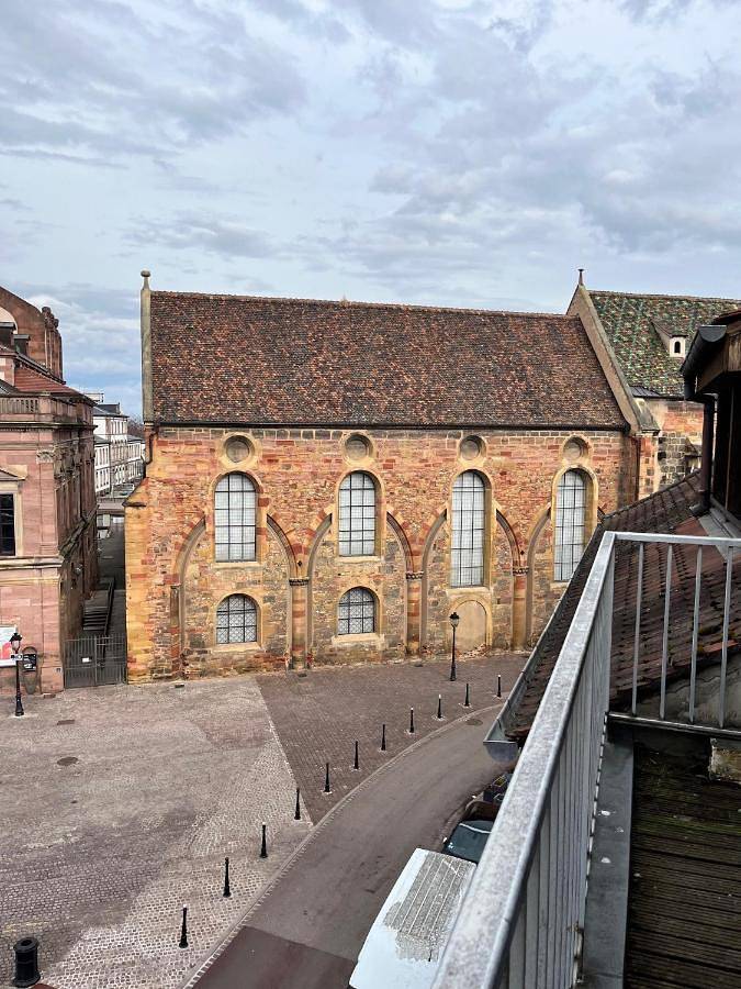 Gîte pour 6 personnes, avec terrasse et vue, animaux acceptés dans Office De Tourisme De Colmar - 4