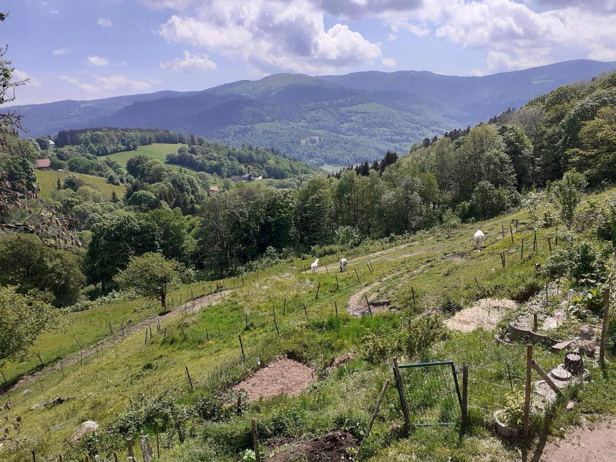 Chambres Im-Berg in Metzeral, Parc naturel régional des Ballons des Vosges