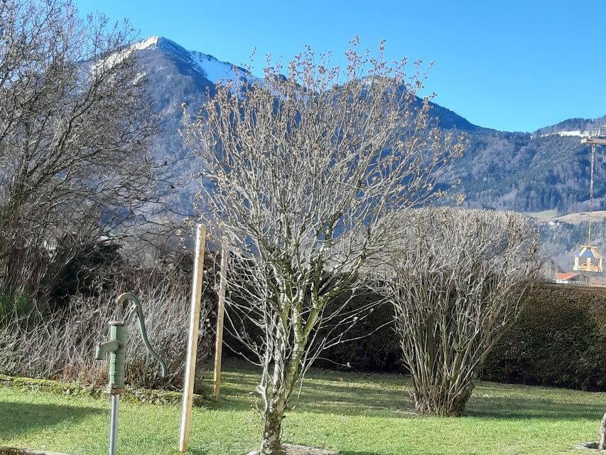 Ganze Ferienwohnung, Haus Polleichtner - Ferienwohnung für 1 bis 2 Personen mit Terrasse und Bergblick in Marquartstein, Bayerische Alpen