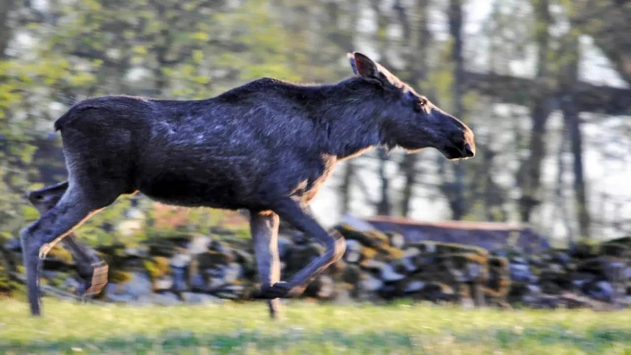 Ferienhaus für 5 Personen (60 m²) in Årsunda in Gästrikland