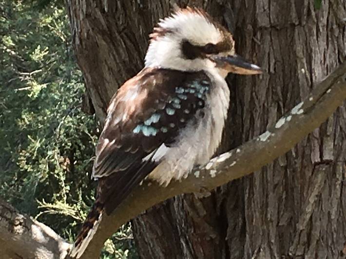 Villa pour 2 personnes, avec terrasse et jardin dans Victoria - 4