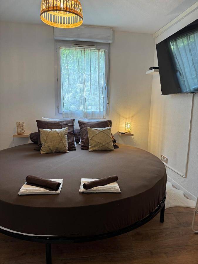 Gîte pour 2 personnes, avec terrasse ainsi que jacuzzi et sauna à Tournefeuille - 4