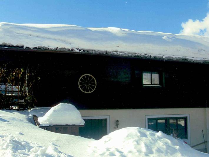 Chalet für 4 Personen, mit Garten und Balkon, kinderfreundlich in Leogang