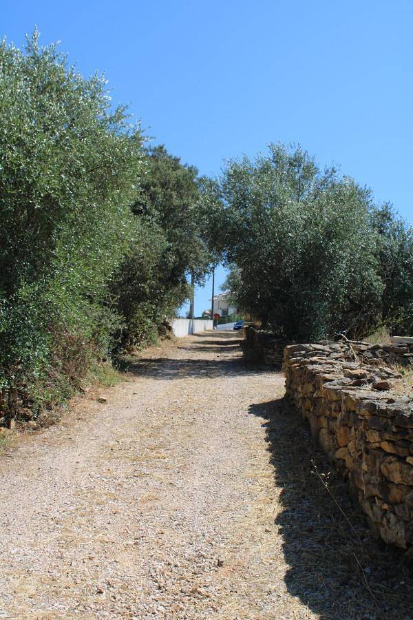 Location de vacances pour 6 personnes, avec vue sur le lac et jardin à Tomar - 4