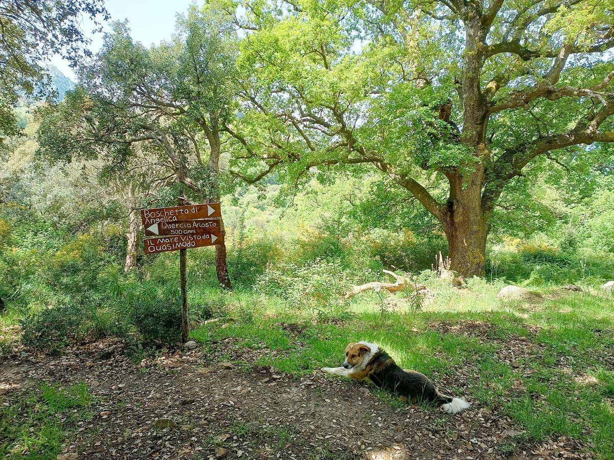 Agriturismo Bosco Pianetti in Gratteri, Provincia di Palermo