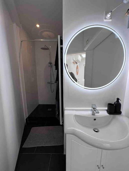 Gîte pour 6 personnes, animaux acceptés à Marcq-en-Barœul - 3