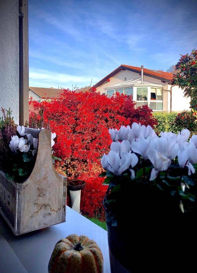 Ganze Wohnung, Olympia by the lake in Lausanne, Genfer See