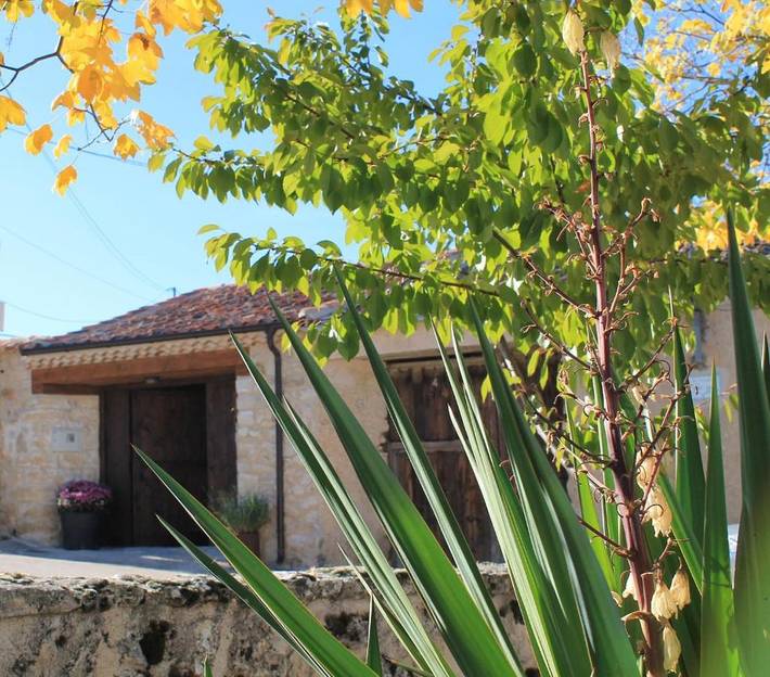 Casa rural para 10 personas, con Terraza además de Jardín y Vistas en Navafría - 4