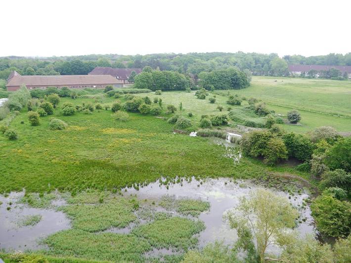 Strandhaus für 2 Personen, mit Balkon in Heiligenhafen - 2