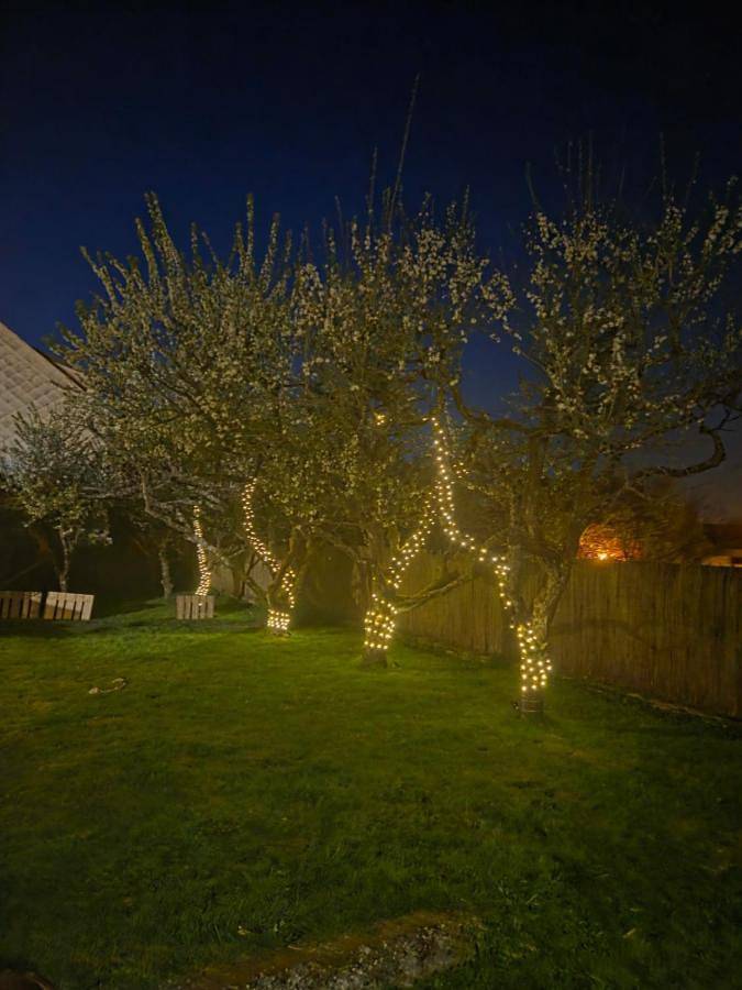 Gîte pour 4 personnes, avec jardin, animaux acceptés à Rohrbach-lès-Bitche