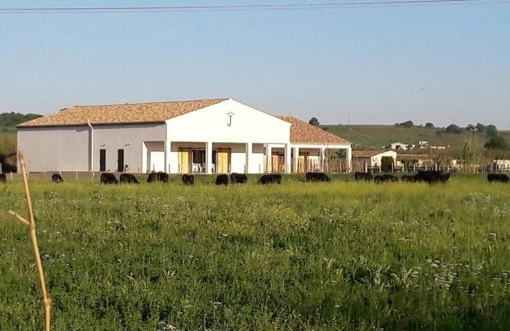 Location de vacances pour 3 personnes, avec jardin et vue à Le Cailar - 2