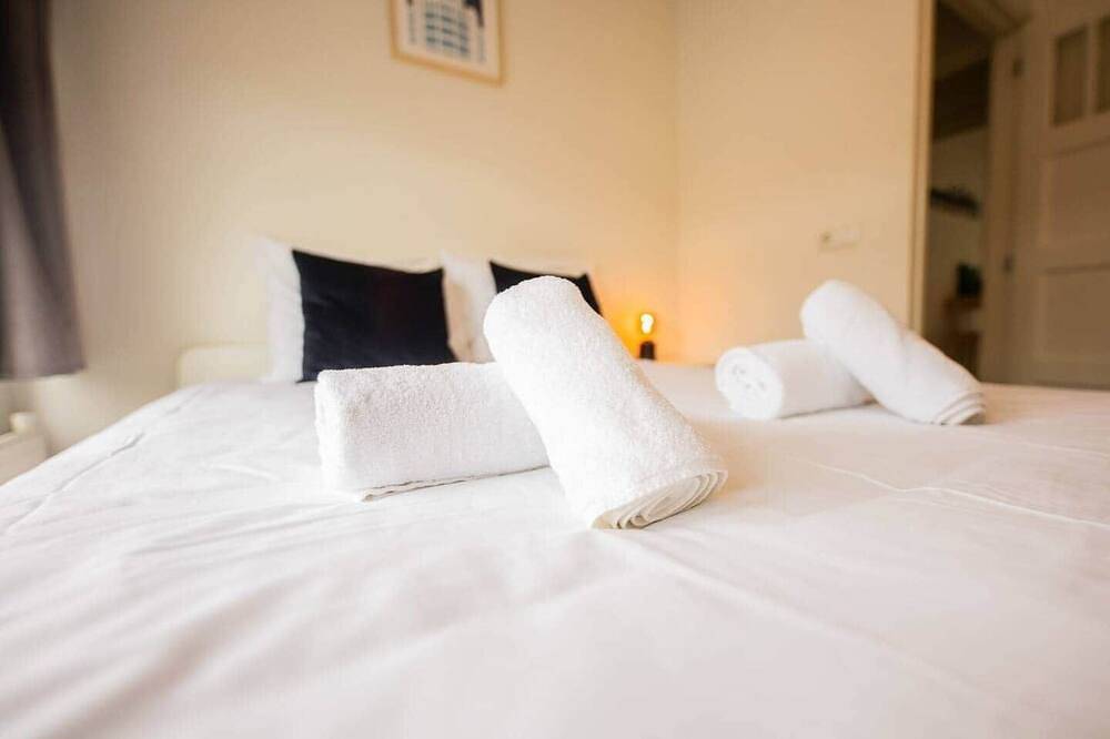 Entire apartment, Amazing 50m² Two-Bedroom Apartment (Ts-307-A) in Eindhoven, North Brabant