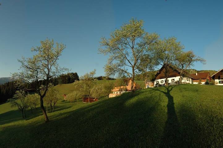Agriturismo für 5 Personen, mit Pool und Garten sowie Balkon, mit Haustier am Attersee - 2